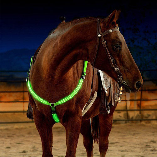 Equestrian LED light strip