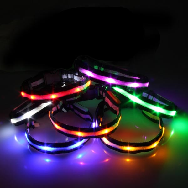 Size M Nylon Safety Flashing Glow Light LED Pet Dog Collar 