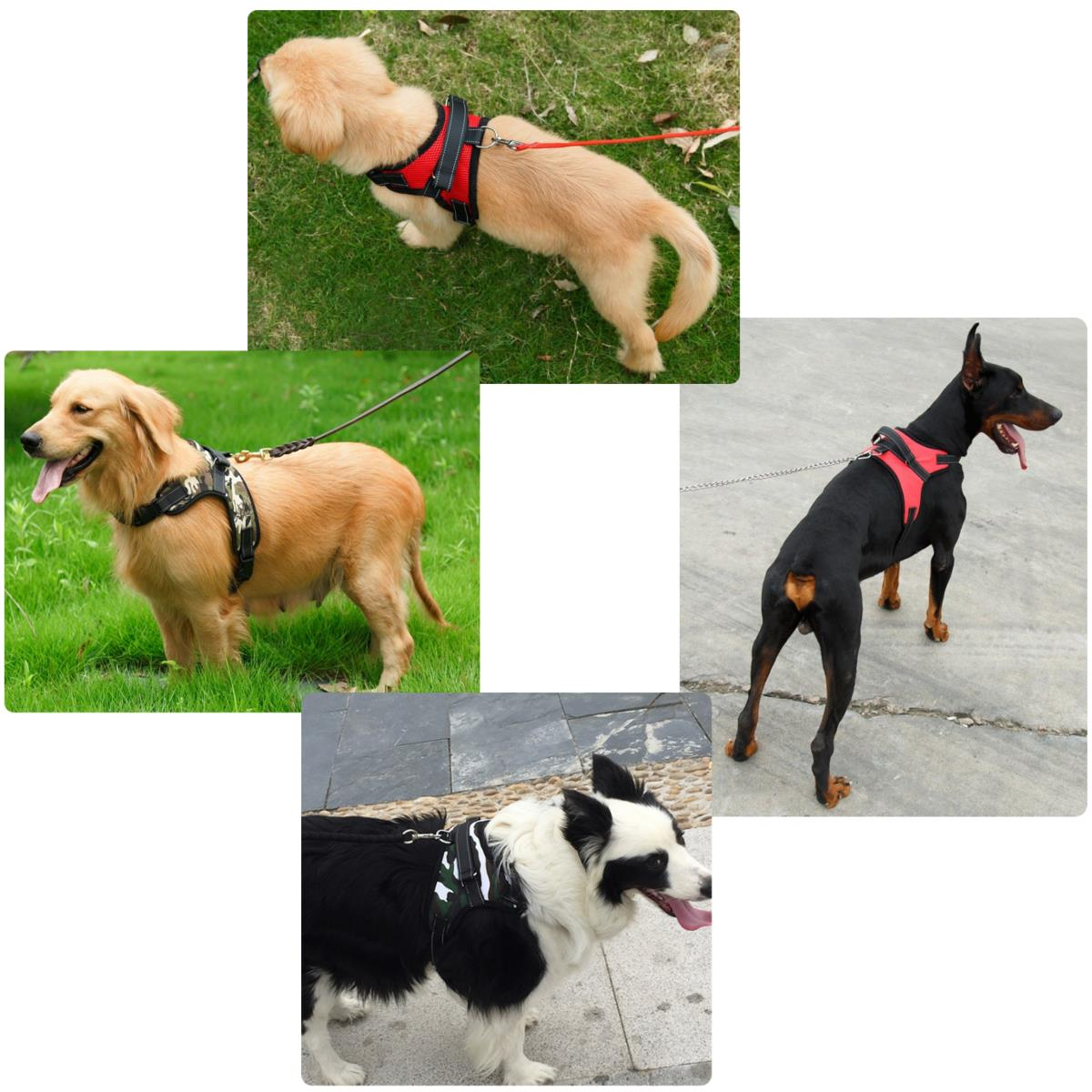 Pet Control Harness Adjustable Dog & Cat Soft Mesh Walk Collar Safety Strap Vest