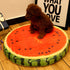 Yani HP-PK1 Pet Dog Simulation Fruit Mats Colorful Squishy Cotton Dog Beds Pet Kennels