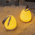 Usb Cute Pet Essential Oil Aromatherapy Night Light