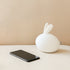 Lamp Rabbit Charging Environmental Friendly Soft Silicone USB Eye Care Night Light Cute Child Bedside Table