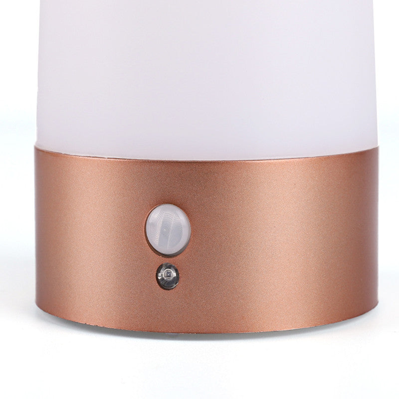 Wireless outdoor sensor light