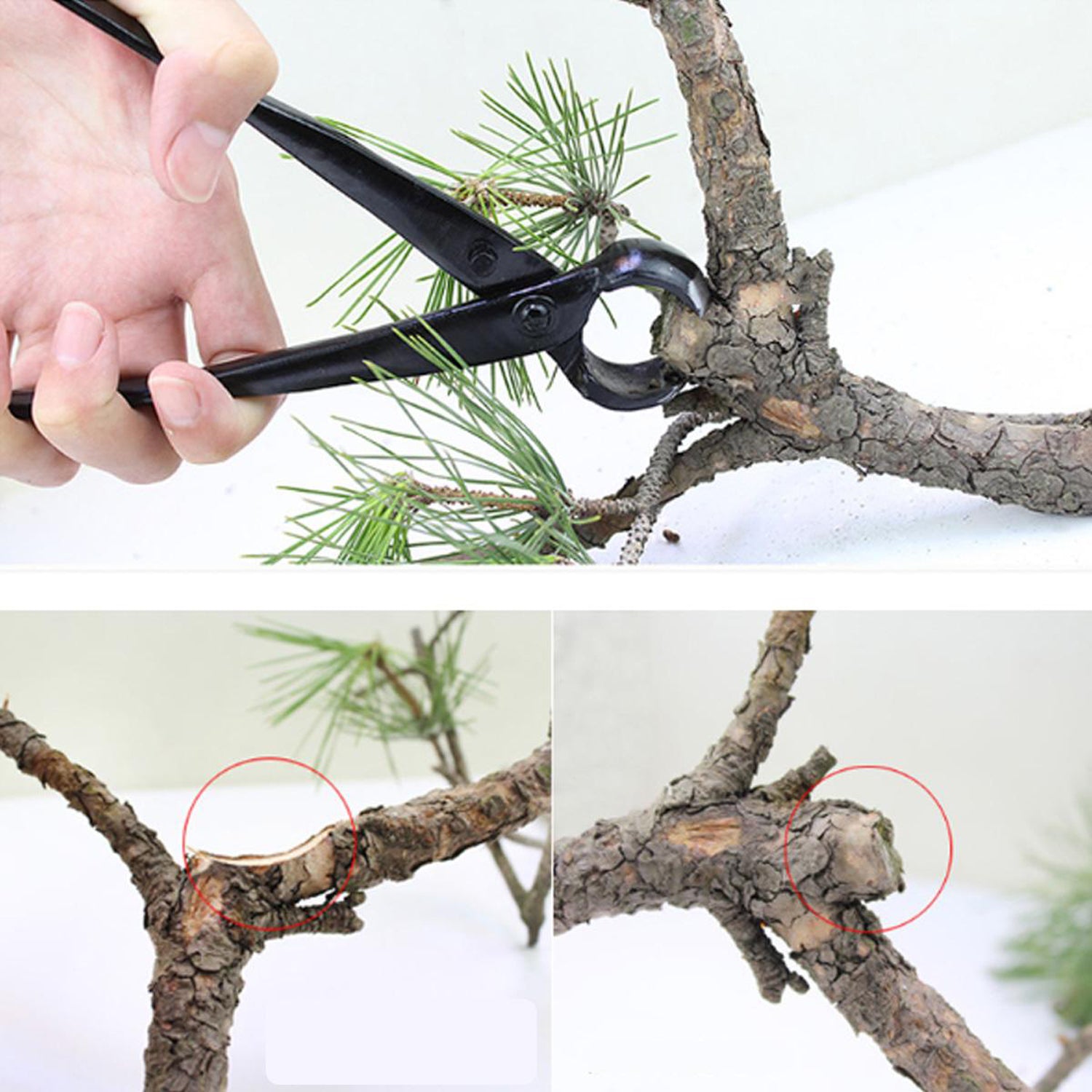 Tree pruning pliers