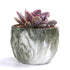 4Pcs/set Ceramic Natural Stone Style Flower Succulent Planting Pot Garden Decor