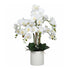 65Cm Large Multi Stem White Potted Faux Orchid