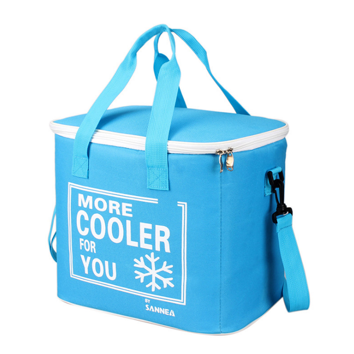 6L Outdoor Portable Insulated Thermal Cooler Bag Picnic Lunch Box Food Container Pouch