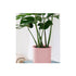 70Cm Tripod Flower Pot Plant Stand With Pink Flowerpot Holder