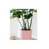 80Cm Tripod Flower Pot Plant Stand With Pink Flowerpot Holder Rack