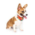 Yani PC1 Pet Ethnic Style Bell Collar Colorful Cute Pet Dog Fashion Collar Cotton Dog Grooming