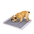 60X60 Cm Charcoal Pet Puppy Dog Toilet Training Pads Ultra Absorbent