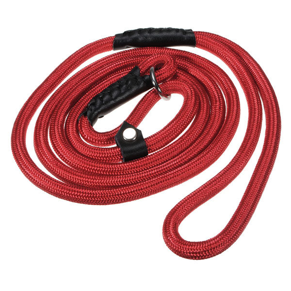 Nylon Rope Pet Dog Slip Training P-Leash Walking Leading Collar 