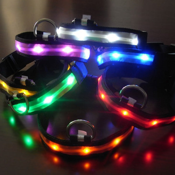 Size M Nylon Safety Flashing Glow Light LED Pet Dog Collar 