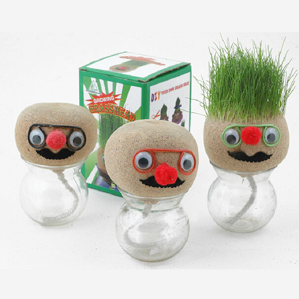 Mini DIY Magic Grass Plant Pot Head Doll Desktop Office Potted 