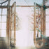 5x7FT Vinyl Wood Window Sunshine Photography Backdrop Background Studio Prop