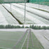 10M/6M x 2.5M Garden Bird Net Netting Vegetables Pest Plant Crops Protect Mesh Anti Bird Net